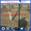 PVC-Coated Fence Roll/Euro Fence Hot Sale